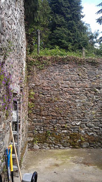 East facing wall of corner house from inside